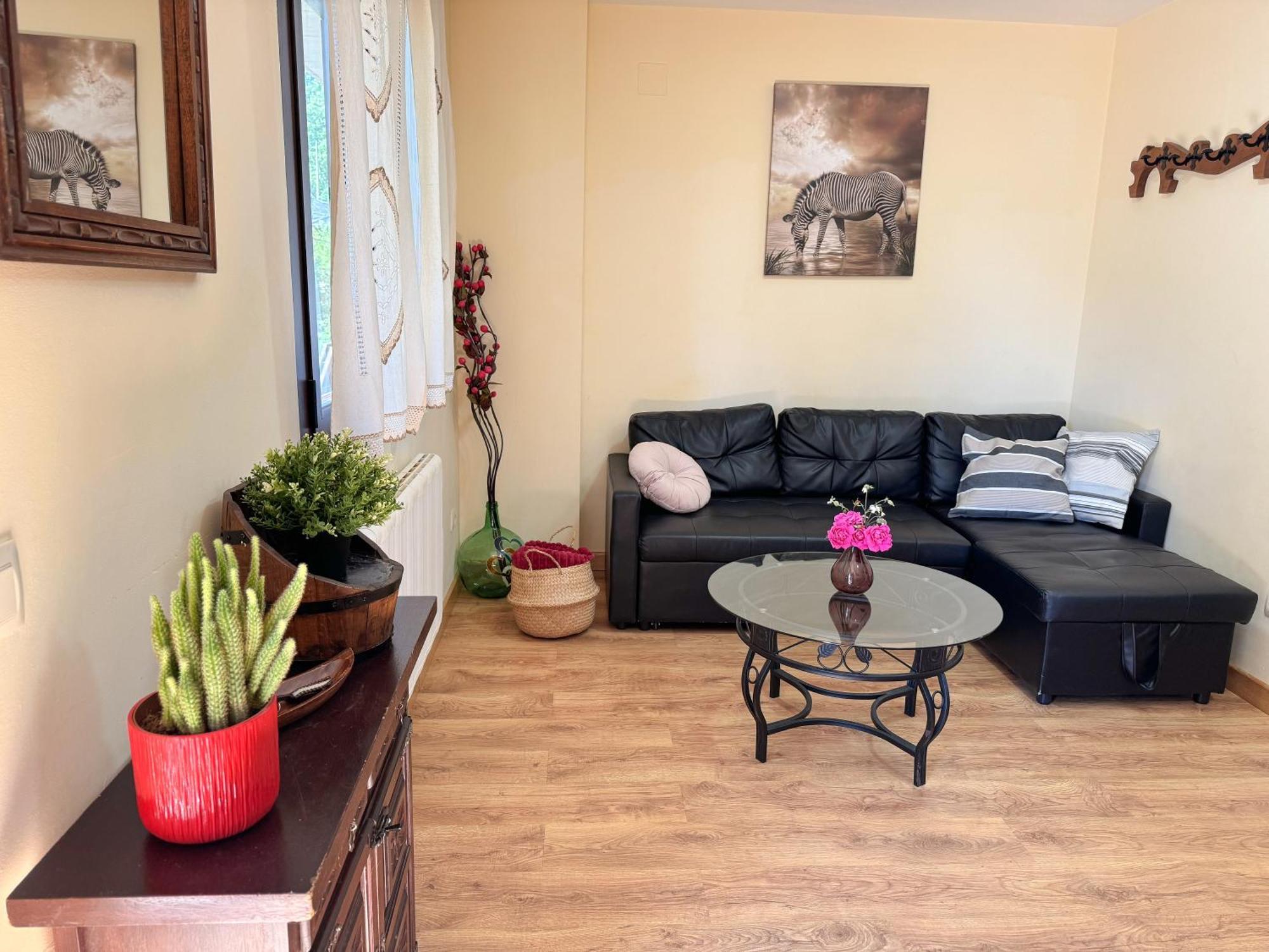 Apartamentos Sanabria Galende Buitenkant foto